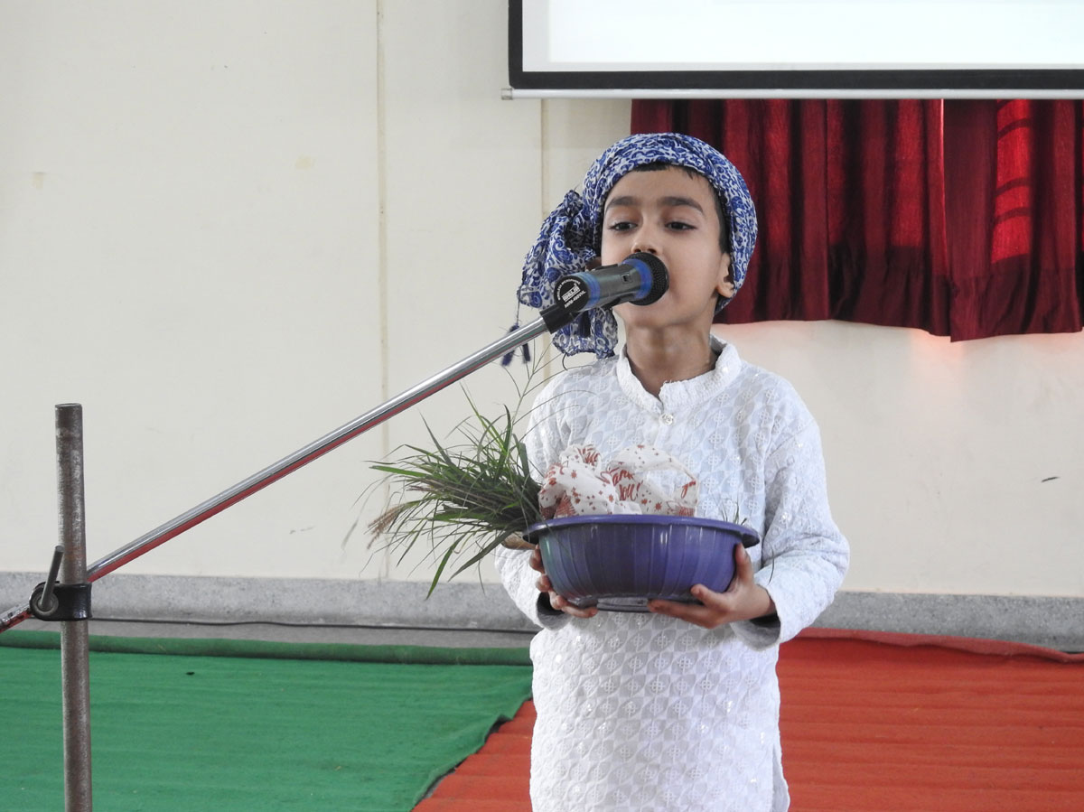 Role Models Competition