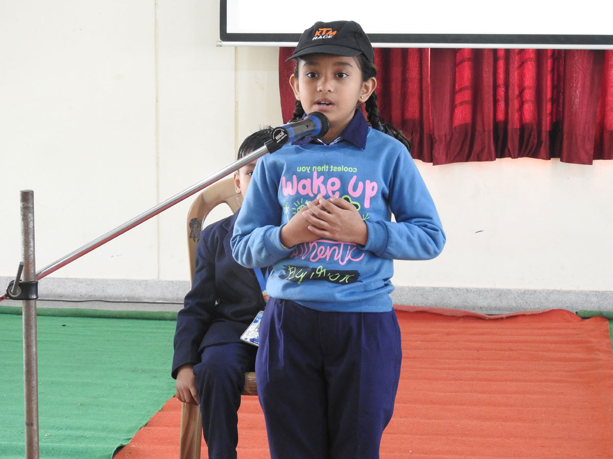 Role Models Competition