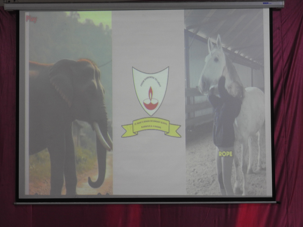 CBSE Orientation for (X & XII)