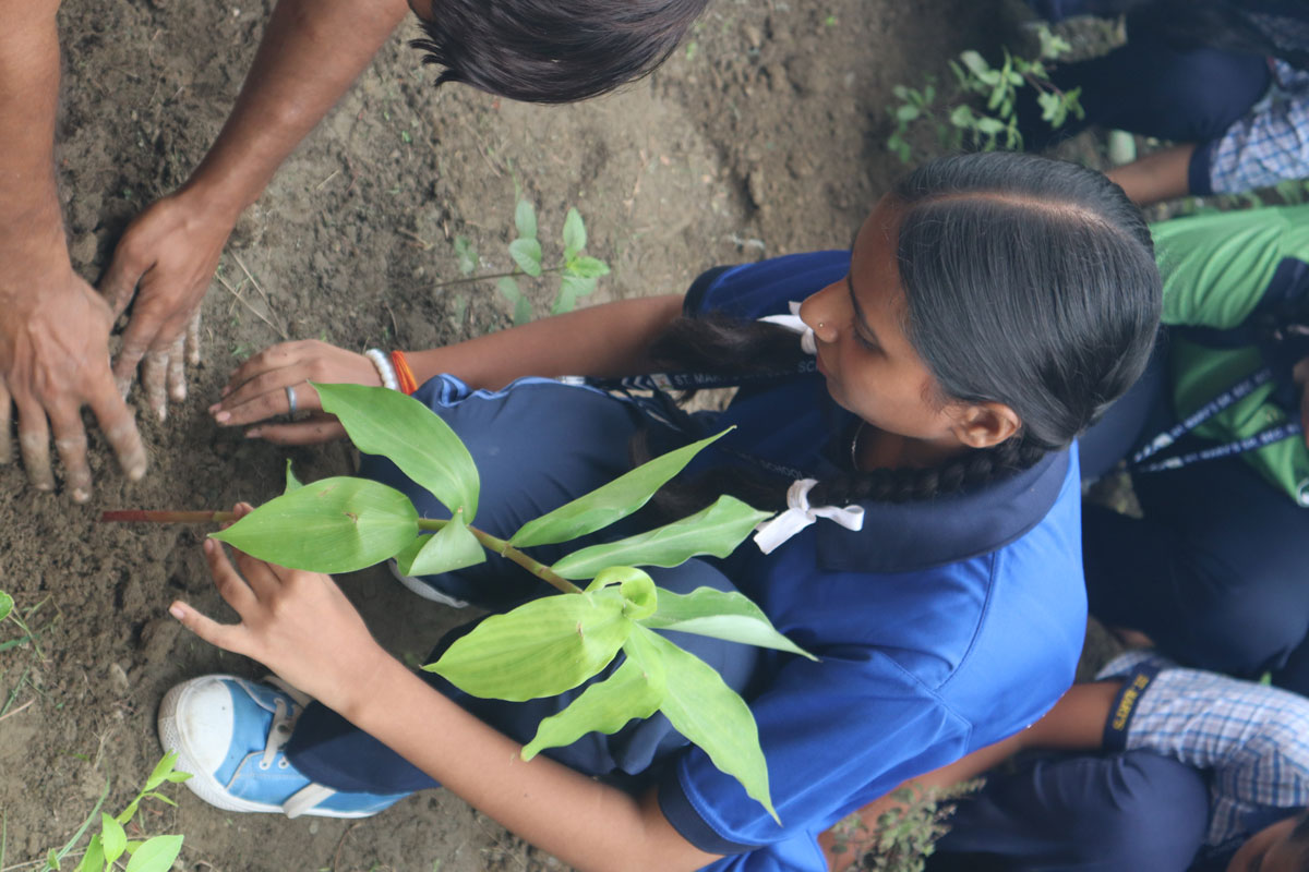 Eco Club Planting 