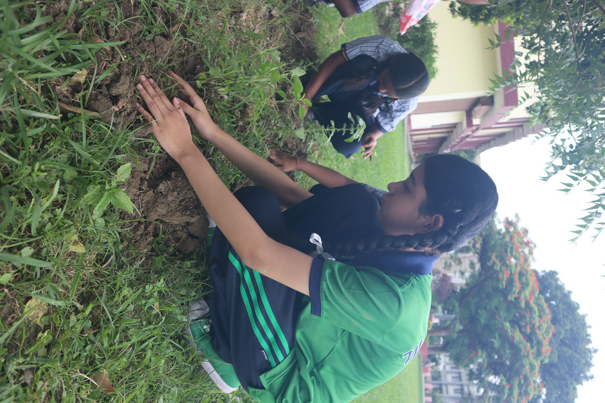 Eco Club Planting 