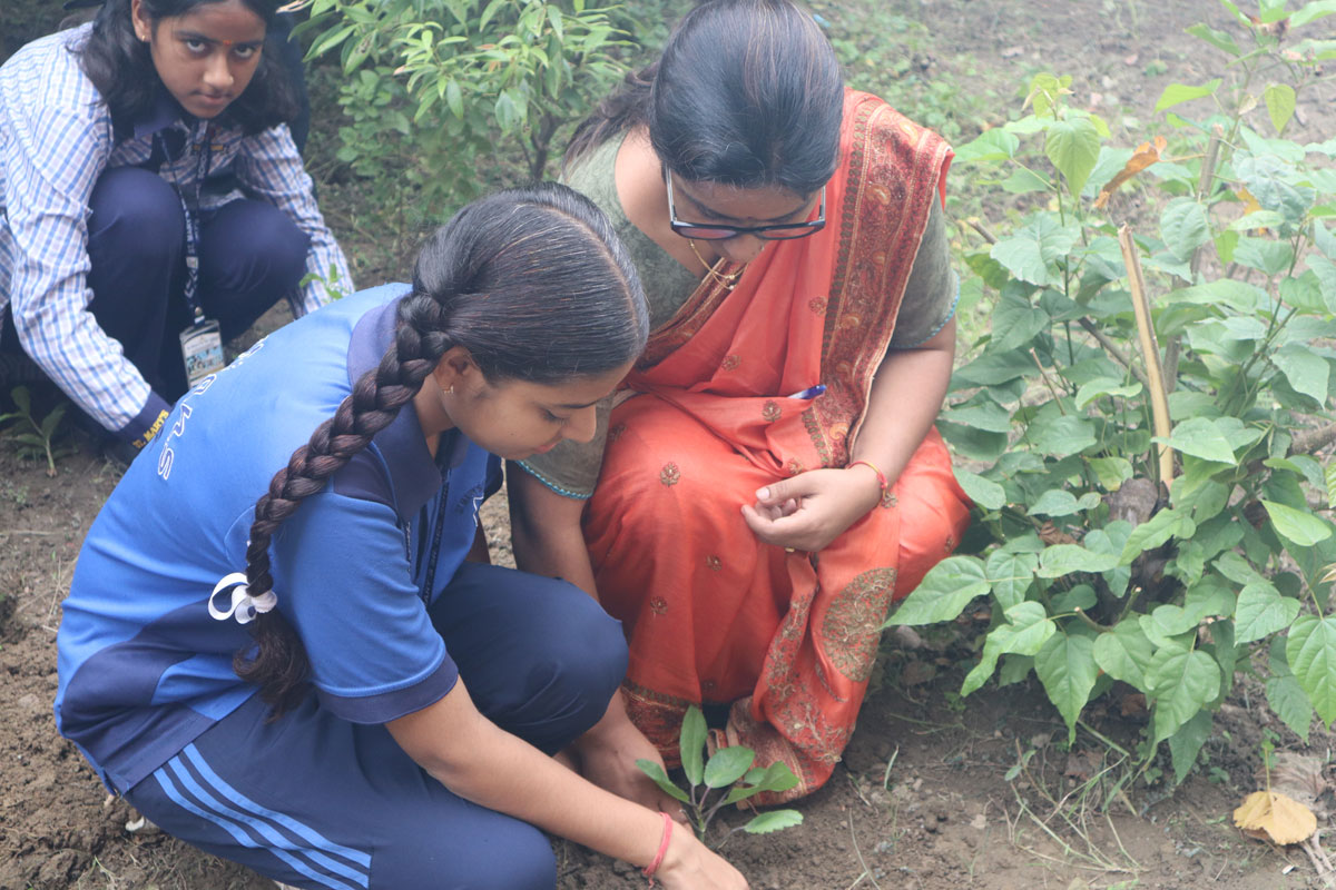 Eco Club Planting 