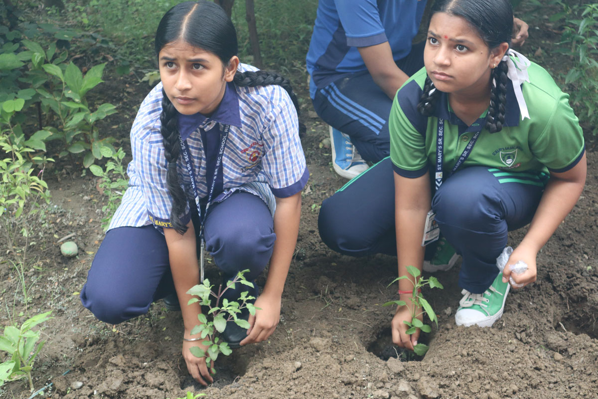Eco Club Planting 