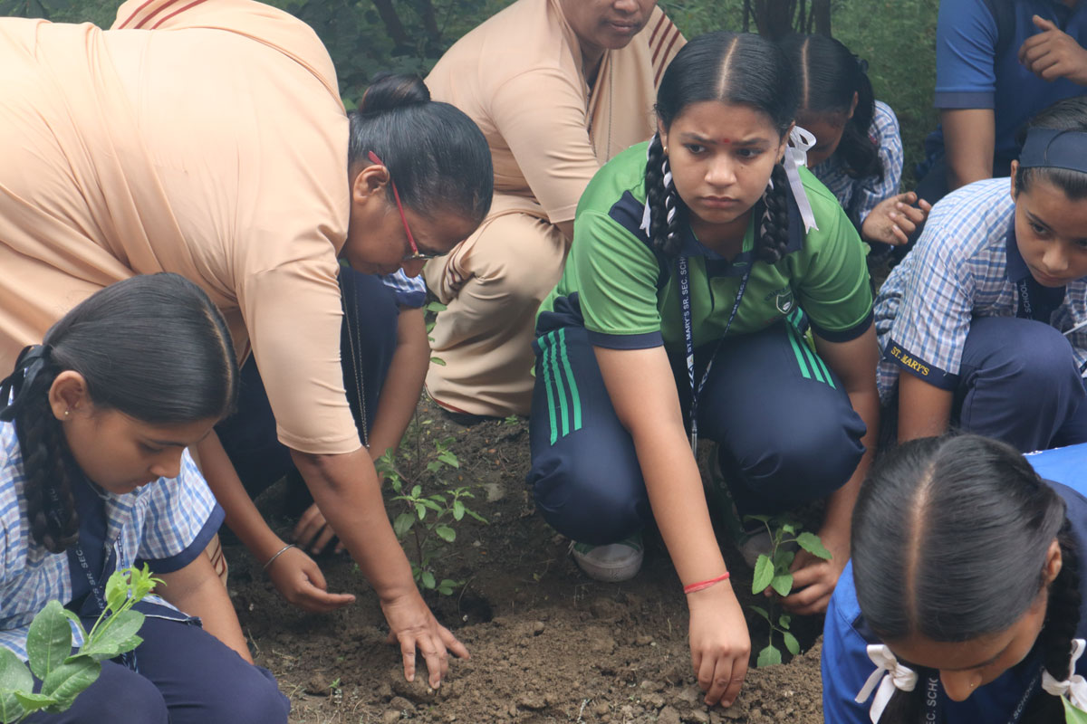 Eco Club Planting 