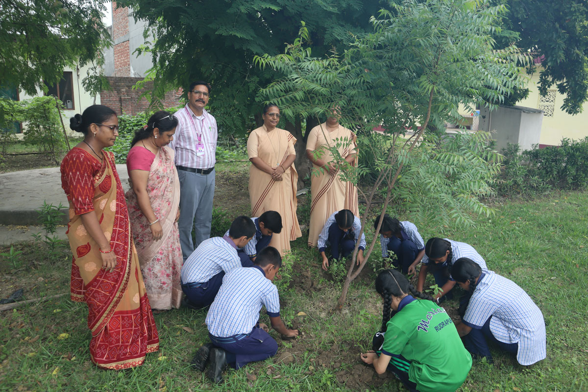 Eco Club Planting 