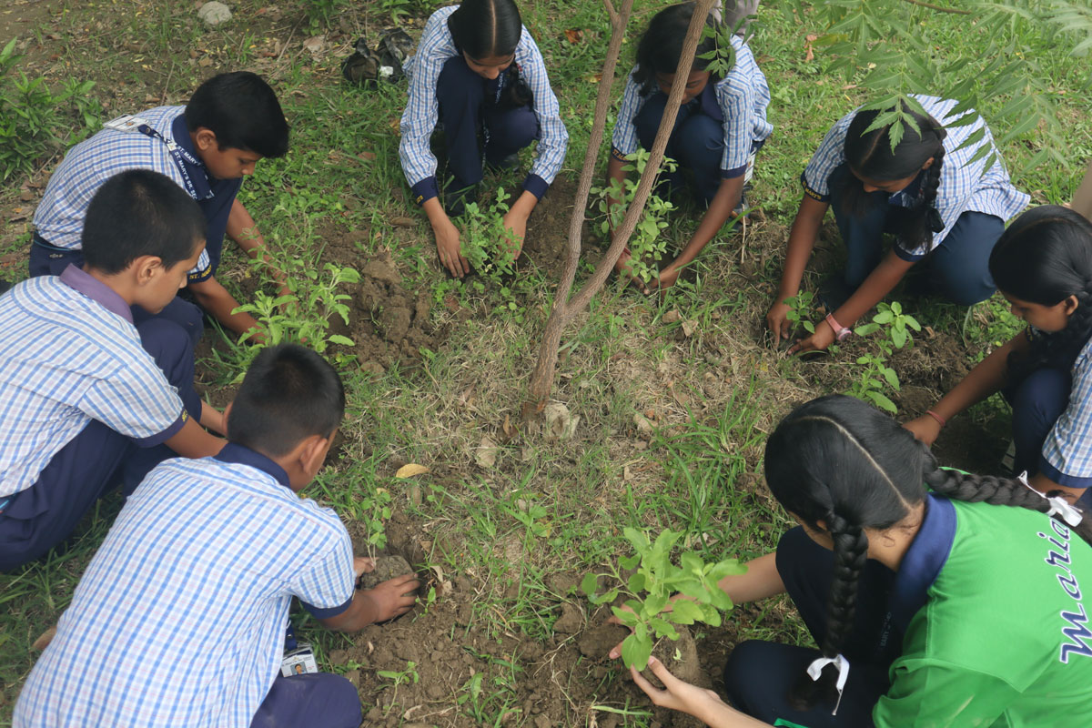 Eco Club Planting 