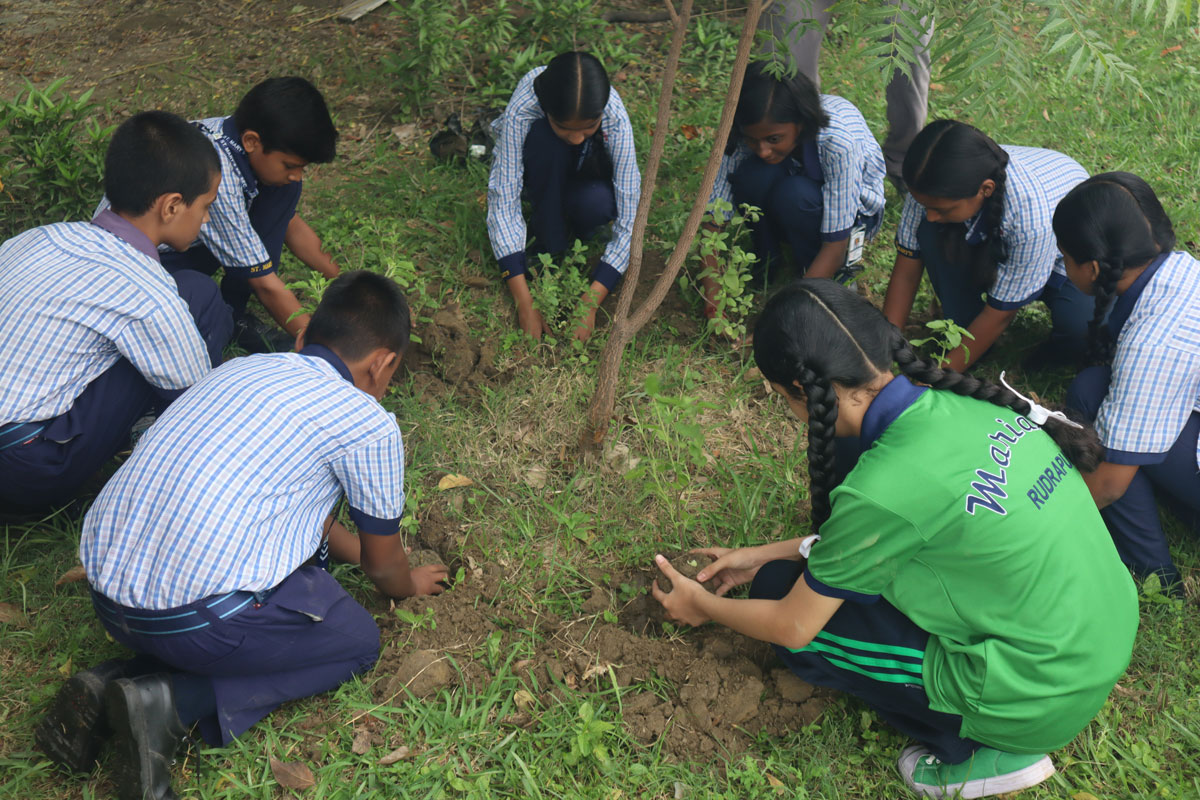 Eco Club Planting 