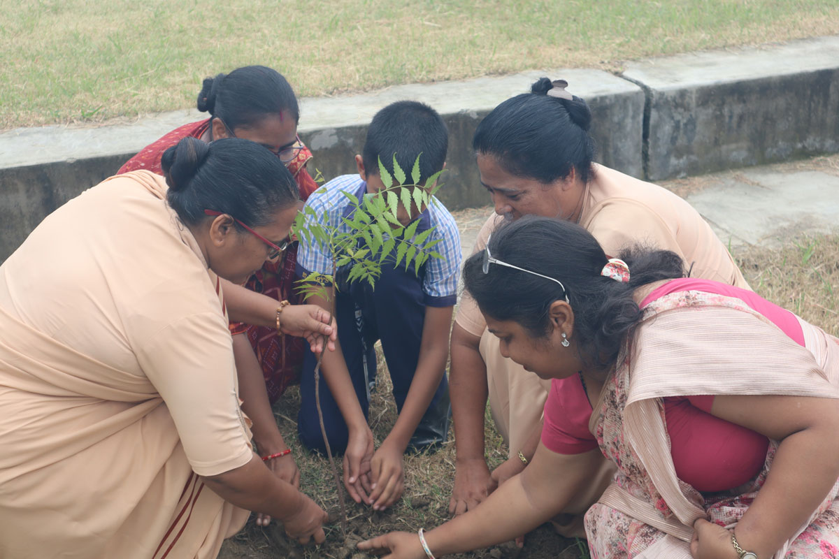 Eco Club Planting 