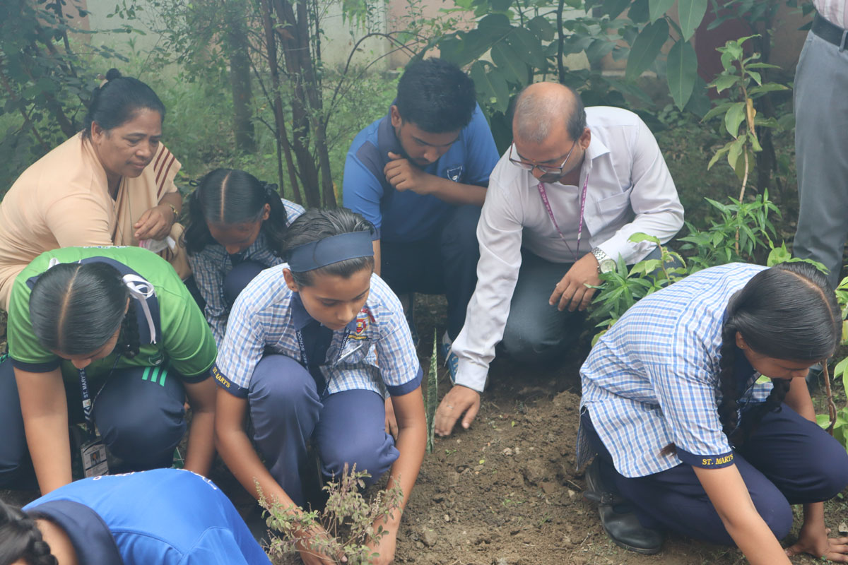 Eco Club Planting 