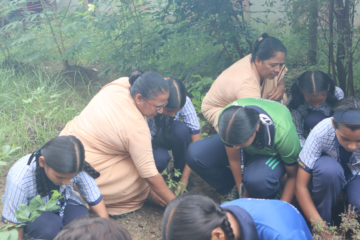 Eco Club Planting 
