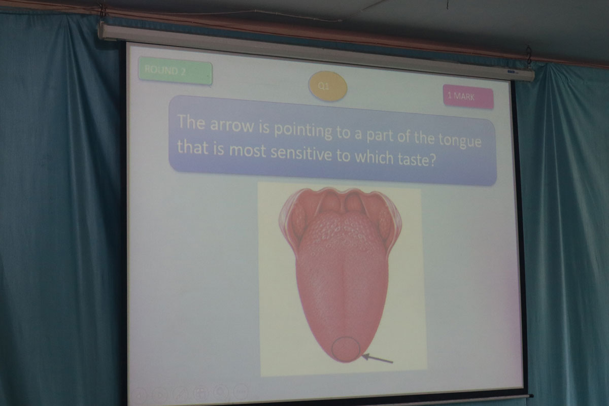Quiz Competition 3 To 5