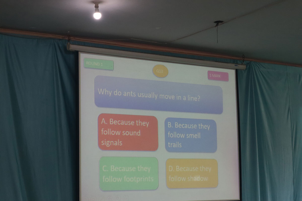 Quiz Competition 3 To 5